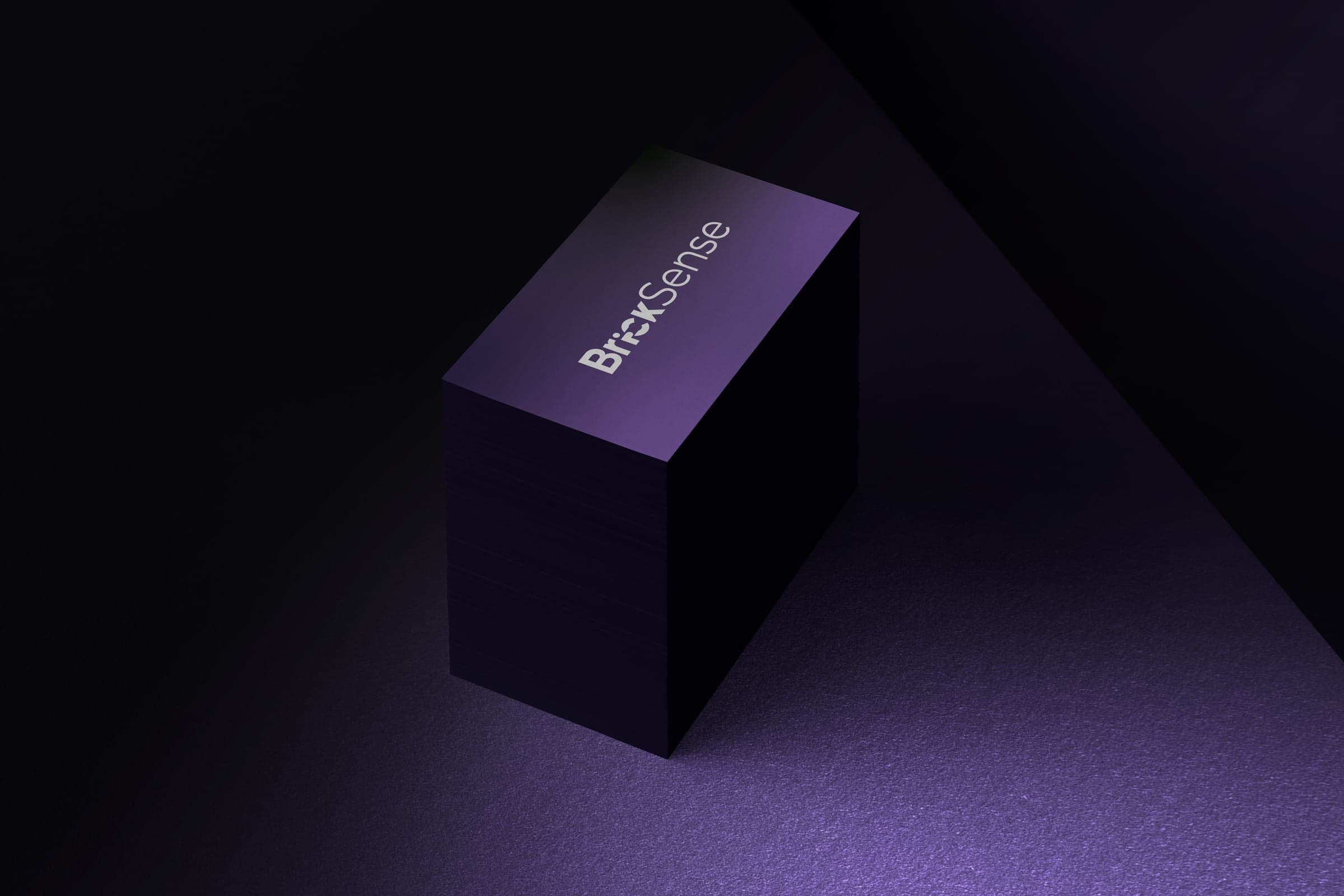 Capa do projeto BrickSense